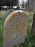 image of grave number 221975